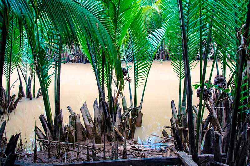 119 - Vietnam - delta del Mekong
